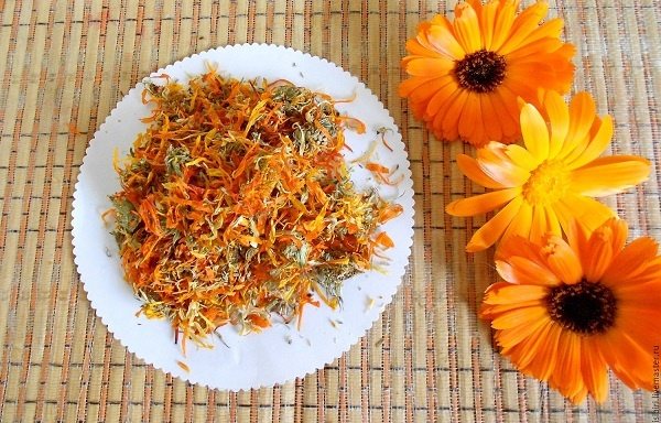 Применение календулы при лечении гастрита