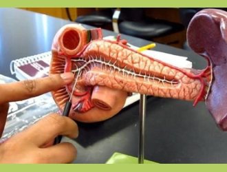 Проведение плановых хирургических операций назначают через 2 — 3 недели после обнаружения симптоматики и заболеваний.