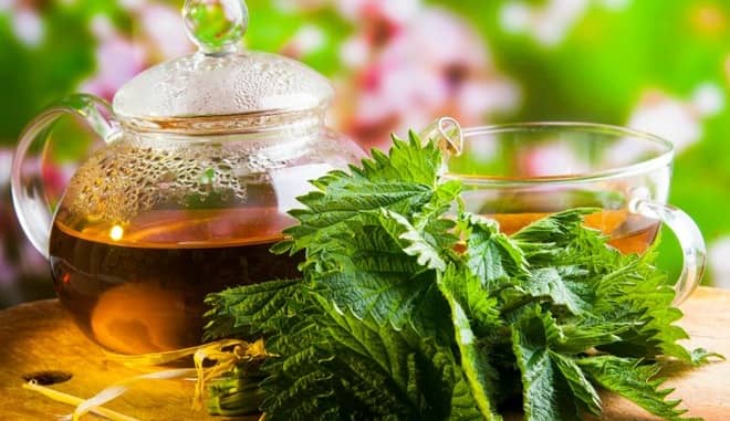 Травы для чистки печени