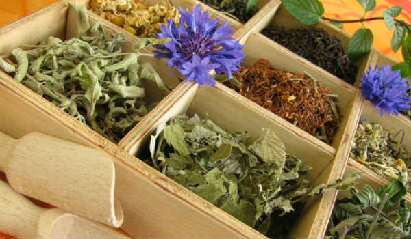 травы от запоров-от запора