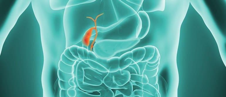 Увеличенный желчный пузырь у взрослого