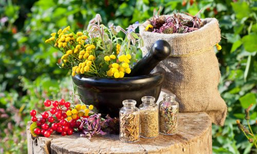 В отличие от химических лекарственных препаратов, народные настои и отвары оказывают более мягкое, щадящее действие