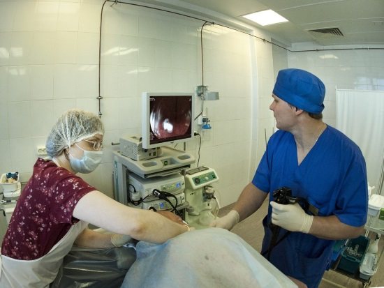 Врач-эндоскопист проводит исследование